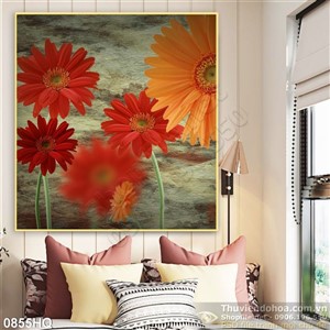 Tranh hoa đồng tiền trang trí đẹp