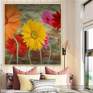 Tranh hoa đồng tiền đẹp