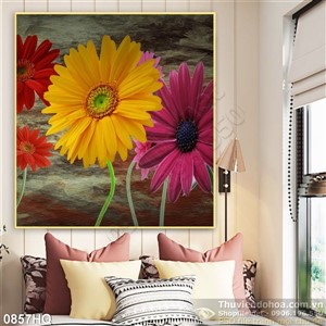 Tranh hoa đồng tiền đẹp