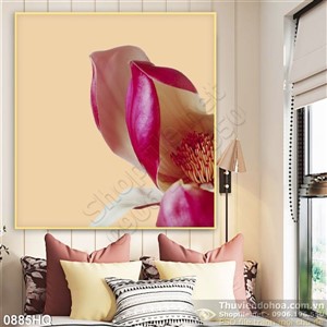 Tranh hoa tulip đẹp