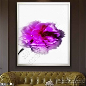 Tranh hoa cẩm chướng trang trí phòng