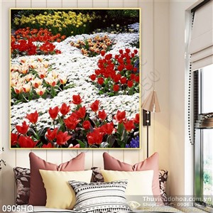 Tranh hoa tulip Châu Âu