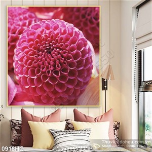 Tranh hoa thợc dược