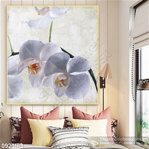 Tranh hoa lan treo tường đẹp