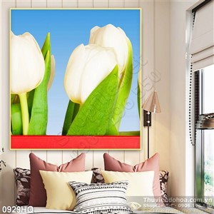 Tranh hoa tulip treo tường đẹp