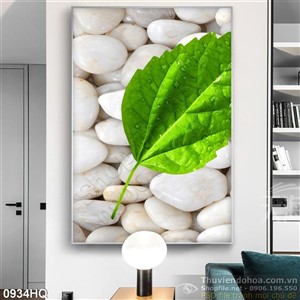 Tranh hoa đồng tiền hiện đại