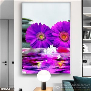 Tranh hoa đồng tiền đẹp trang trí