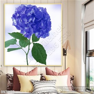 Tranh hoa tú cầu đẹp