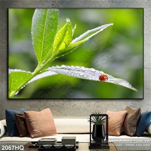 Tranh hoa lá treo tường phòng khách