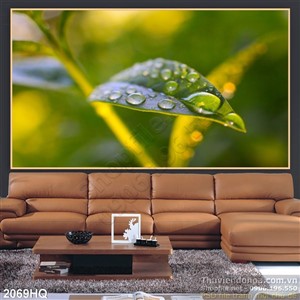 Tranh hoa lá treo tường nghệ thuật