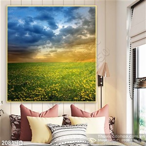 Tranh cánh đồng hoa Cúc rực rỡ