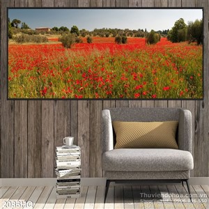 Tranh cánh đồng hoa Mỹ Nhân đẹp rực rỡ
