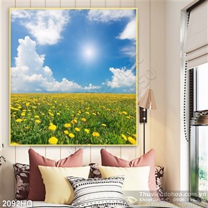 Tranh cánh đồng hoa Cúc vàng rực rỡ