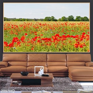 Tranh cánh đồng hoa Colico đẹp