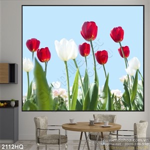 Tranh hoa tulip treo tường phòng khách