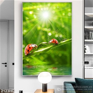 Tranh hoa lá và bọ cánh cam dán tường
