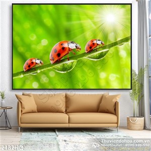 Tranh hoa lá và bọ cánh cam trang trí phòng ngủ