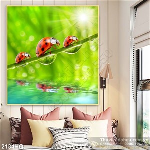 Tranh hoa lá và bọ cánh cam đẹp