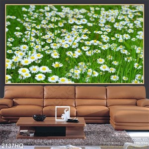 Tranh hoa Cúc trang trí tường đẹp