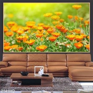 Tranh hoa cúc trang trí đẹp