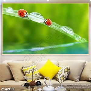 Tranh hoa lá đẹp và bọ cánh cam