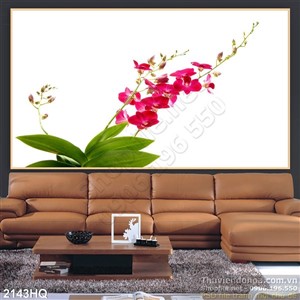 Tranh hoa Lan treo tường độc đáo