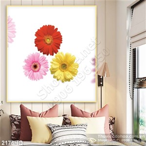 Tranh hoa đồng tiền trang trí tường