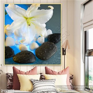 Tranh hoa Ly Spa đẹp