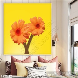 Tranh hoa đồng tiền hiện đại treo tường