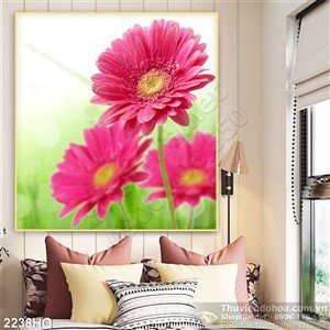 Tranh hoa đồng tiền đẹp độc đáo