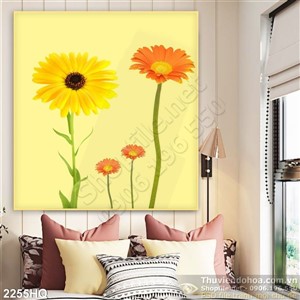 Tranh hoa đồng tiền trang trí hiện đại