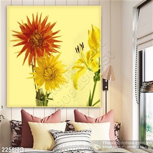 Tranh hoa đồng tiền trang trí đẹp