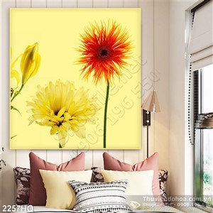 Tranh hoa đồng tiền trang trí đẹp