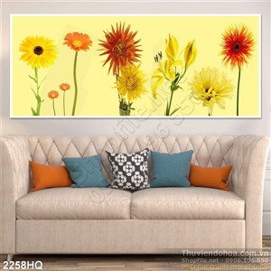 Tranh hoa đồng tiền hiện đại đẹp