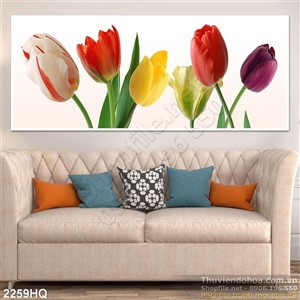 Tranh hoa Tulip trang trí treo tường phòng khách