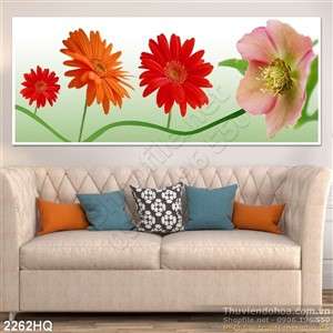 Tranh hoa đồng tiền trang trí đẹp