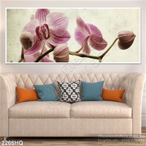 Tranh hoa Lan trang trí đẹp
