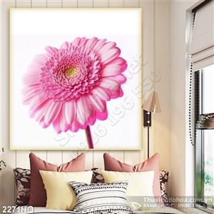 Tranh hoa đồng tiền treo tường hiện đại