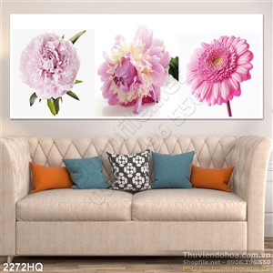 Tranh hoa đồng tiền trang trí đẹp