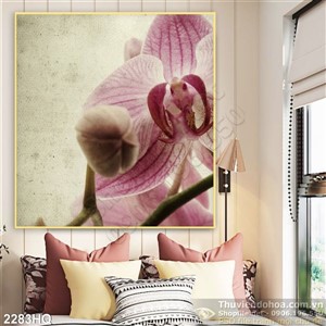 Tranh hoa Lan treo tường hiện đại