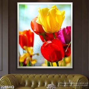 Tranh hoa lá Tulip trang trí phòng ngủ đẹp