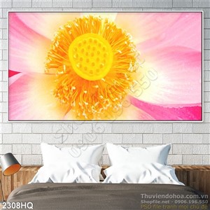 Tranh hoa Sen đẹp độc đáo