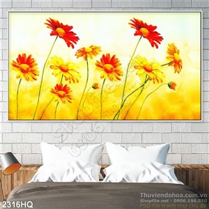 Tranh hoa đồng tiền sơn dầu hiện đại