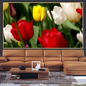 Tranh hoa tulip trang trí dán tường đẹp