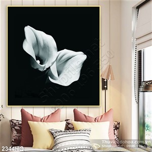 Tranh hoa Vân Môn nhiếp ảnh đẹp