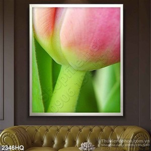 Tranh hoa tulip hiện đại treo tường
