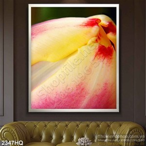 Tranh hoa Tulip trang trí phòng đẹp