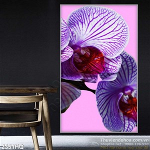 Tranh hoa Lan hiện đại treo tường