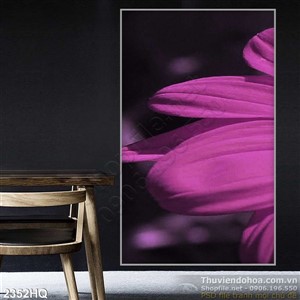 Tranh hoa Cúc trang trí đẹp