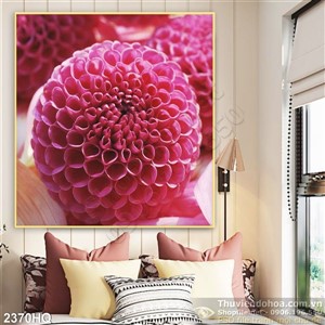 Tranh hoa Thược dược đẹp độc đáo